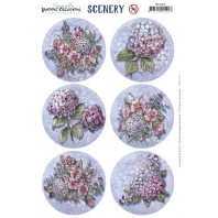 Scenery - Hydrangea Round