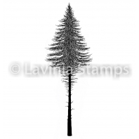 Lavinia - Fairy Fir Tree 2