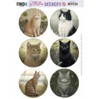 Berrie's Beauties scenery - Cats