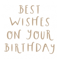 Spellbinders Best Wishes on Your Birthday Glimmer Hot Foil Plate