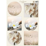 Marianne Design  - Condoleance - Orchid