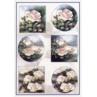 World of Craft nr 41 - Roses