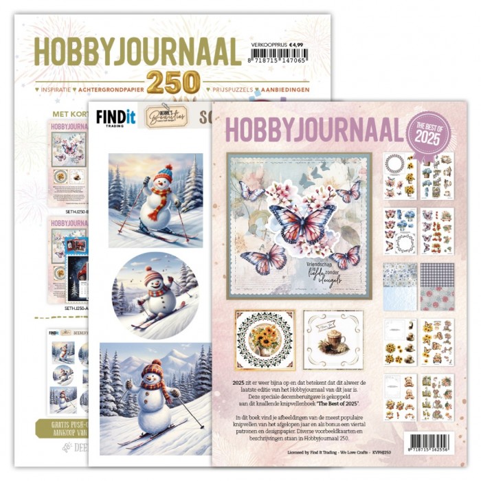 Hobbyjournaal 250 + the best of 2025