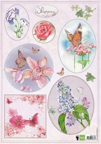 Els Whispering - colour