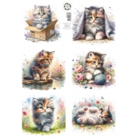 Jalekro - Decoupage - Friends For Life - Katten