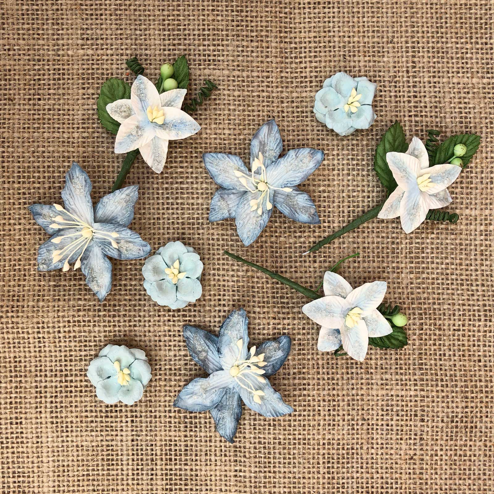 Stargazers - Sky Blue