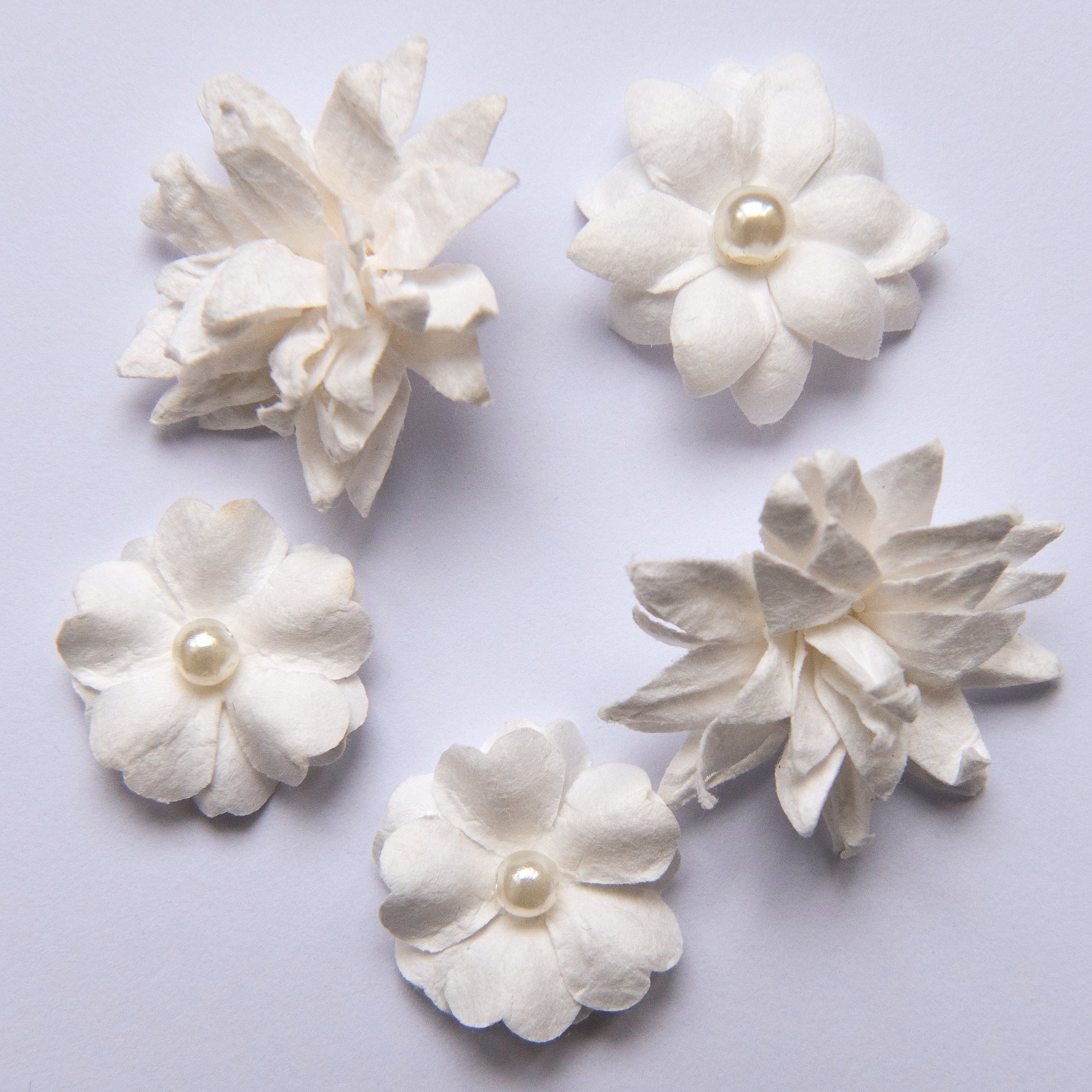 Flower Mini Series 01 - Cloud