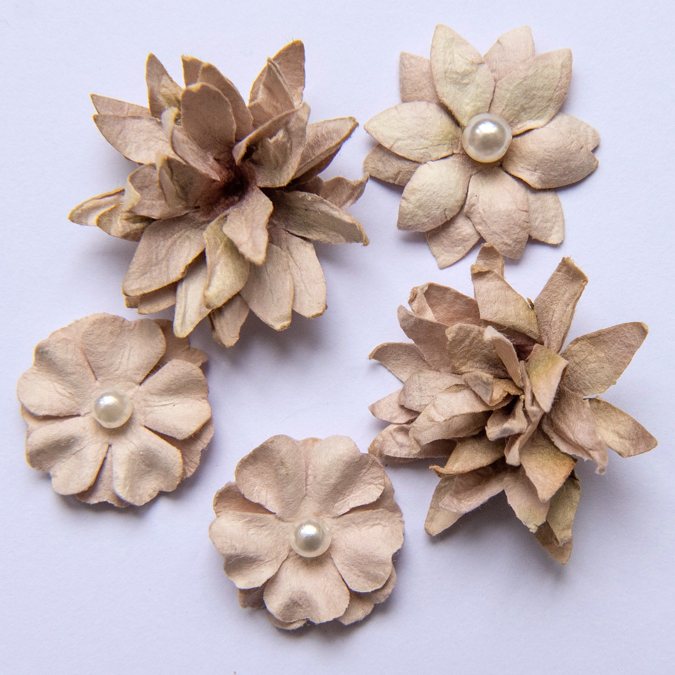 Flower Mini Series 01 - Mushroom